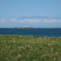 Towards Inner Farne from cliff top