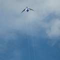 Flying Lucys Kite @ Newquay