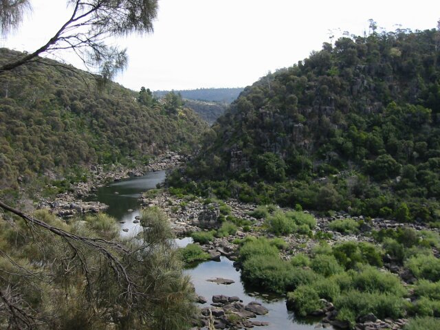 More pics, further up the gorge