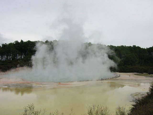Thermal activity at Waoitapu thermal reserve. Stank of sulphur as does Rotoura its self!