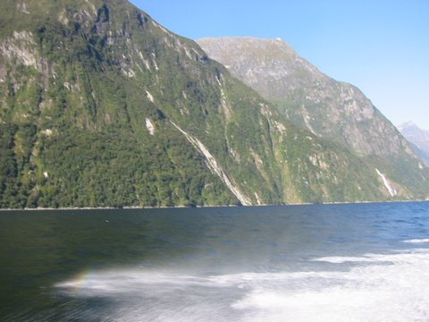 Photo's taken of the back of a boat on the way out into Milford Sound. We kayaked back.