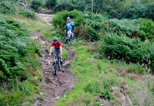 Kit controls it, fatty looks on