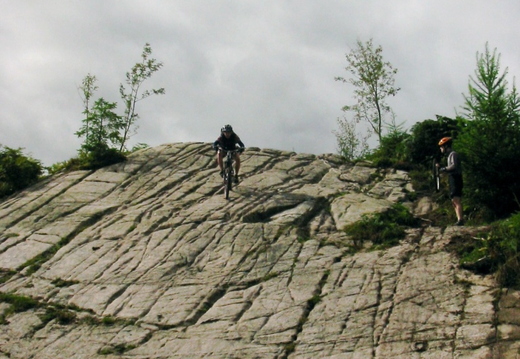 Nigel on the slab