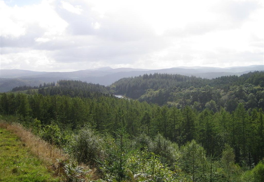 IMG_1114_Large.jpg