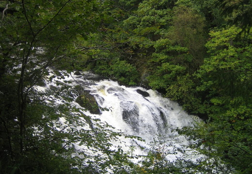 IMG_1068_Large.jpg