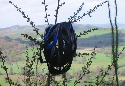 Strange Tree