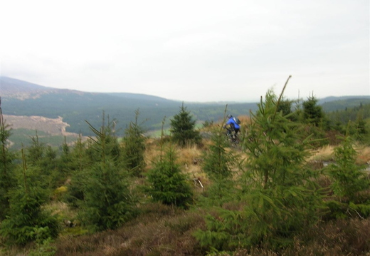 adk.jpg