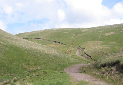 The Way ahead
