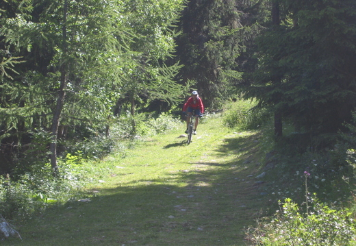 IMG_4146.jpg