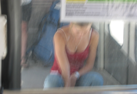 Bird on Funicular (shaky camera & shaky feeders)