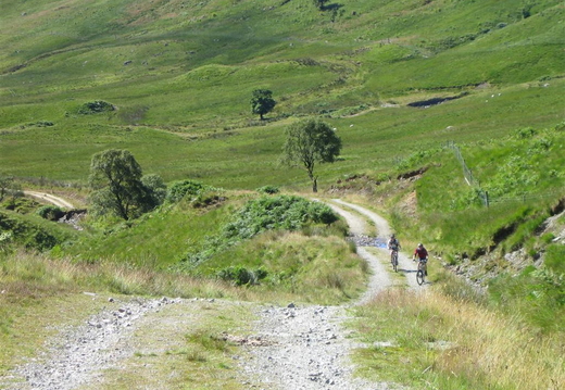 Bloody Climbing!