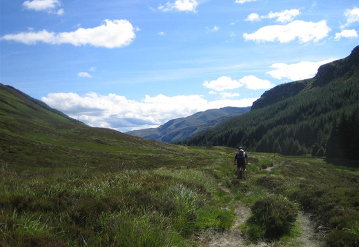 Summit of Glen Ample