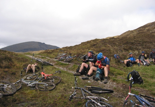 Sheltering from the wind