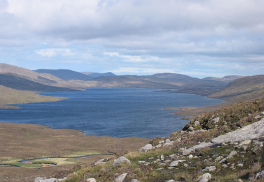 Looking south off of Harris