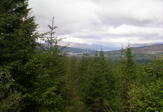 IMGP0460