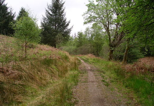 IMGP0461