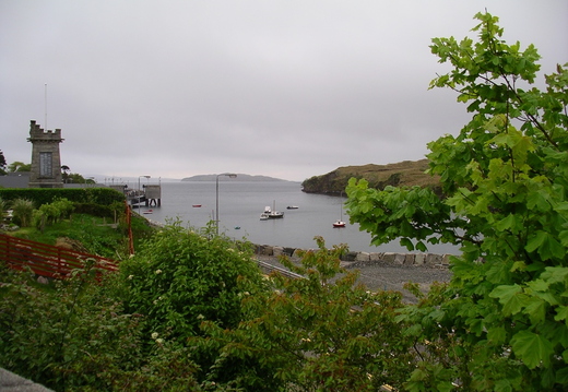 IMGP0465