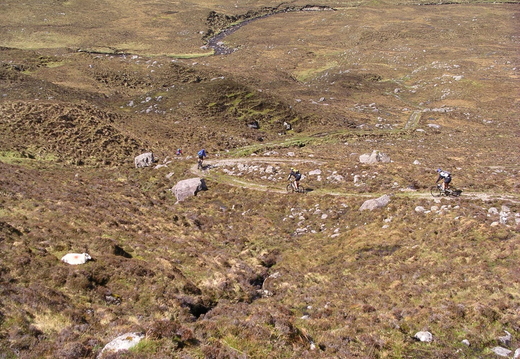 IMGP0478