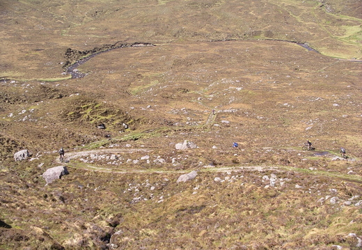 IMGP0480