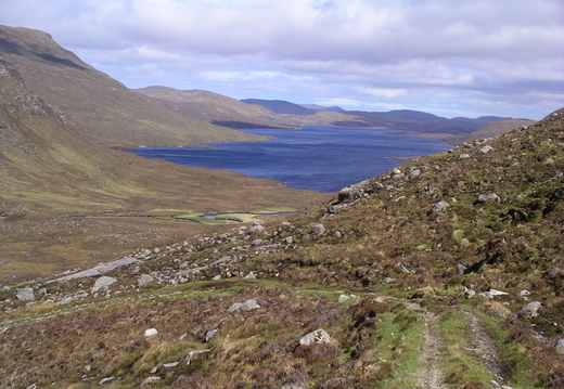 IMGP0479