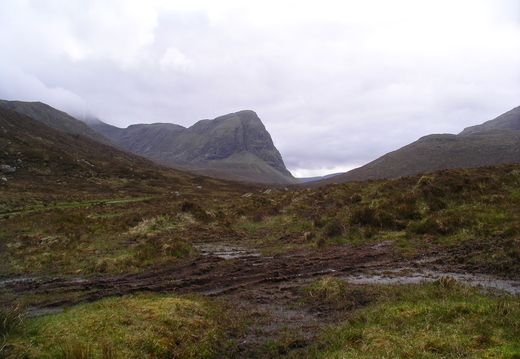 IMGP0483