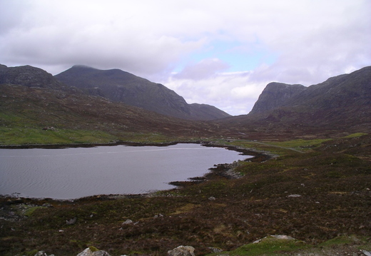 IMGP0484