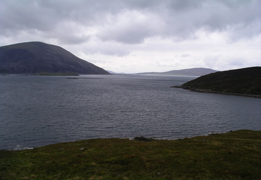IMGP0486