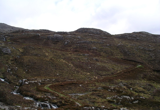 IMGP0498