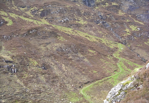 IMGP0500