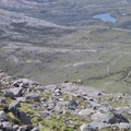 Deer from start of climb to Sgorr Ruadh (looking north, Lochan  Neimhie