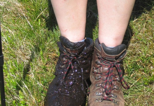 Jackie managed to find the only bog on the hill!