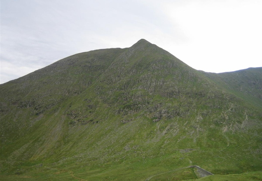 Catstye Cam