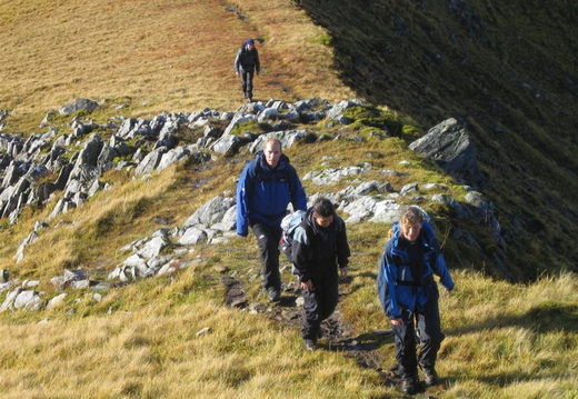 Lucy, Mandy, Drummond and Stu