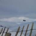A Chinnock. It was right down in the valley above the A93, but it took me a while to get my camera out :-(
