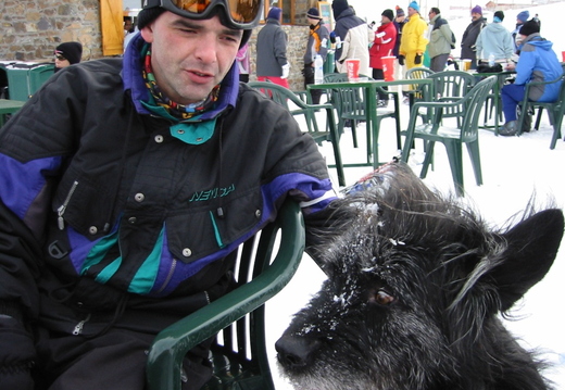 IMG_2242.jpg