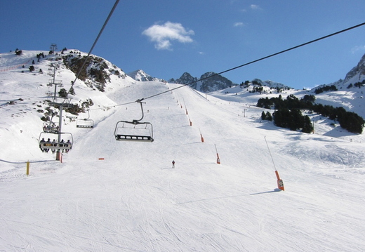IMG_2262.jpg
