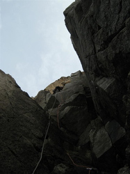 Lucy Leading pitch 1 of Allouette