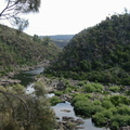 More pics, further up the gorge