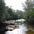 The Franklin River. Flows through a world heritage area.