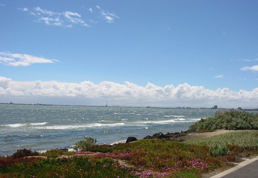 The coastal cycle path