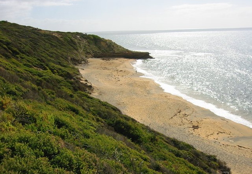Bells Beach (Used for world surfing competitions)