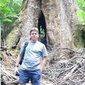 Tree showing erosion around roots (and me!) 