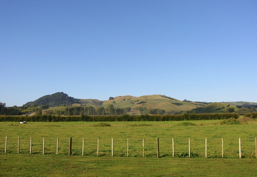 Photo of hills behind Joe's house