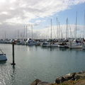 Tauranga Harbour