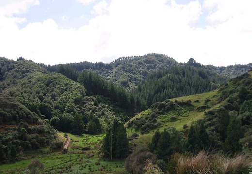 Various pictures taken near Waitomo while out on a quad bike