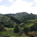Various pictures taken near Waitomo while out on a quad bike