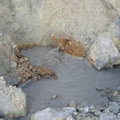 Volcanic mud pools