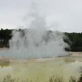 Thermal activity at Waoitapu thermal reserve. Stank of sulphur as does Rotoura its self!