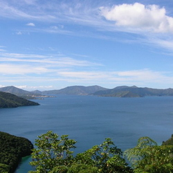 Marlbourgh Sounds & Picton