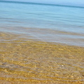 Just wanted to show how clear the sea water actually is here!